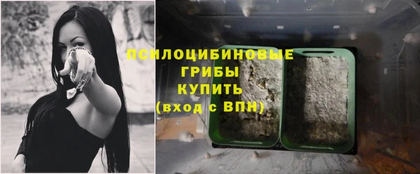 метадон Заводоуковск