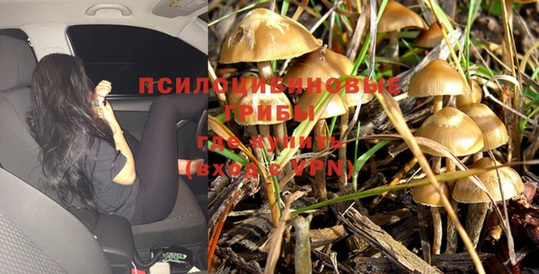 мдма Заволжск