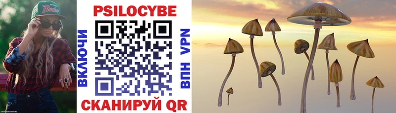 Купить  Талдом  Псилоцибиновые грибы Psilocybine cubensis 